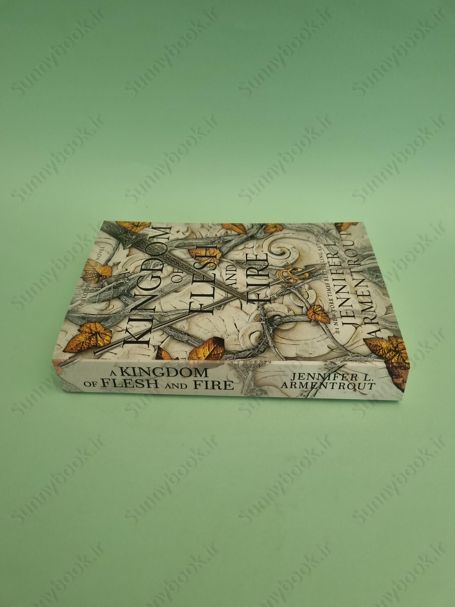 A Kingdom of Flesh and Fire (Blood and Ash 2) main 1 4