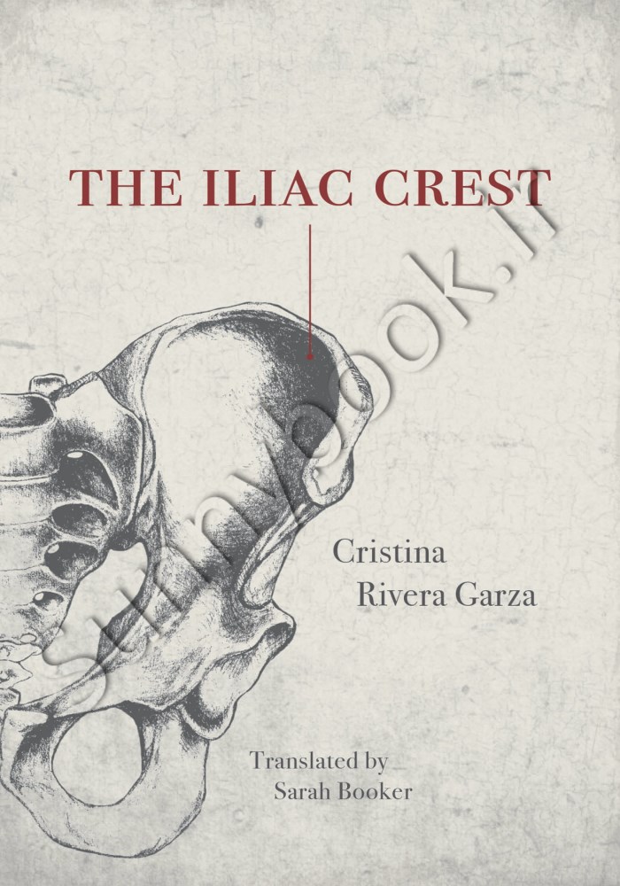 The Iliac Crest Model.Title