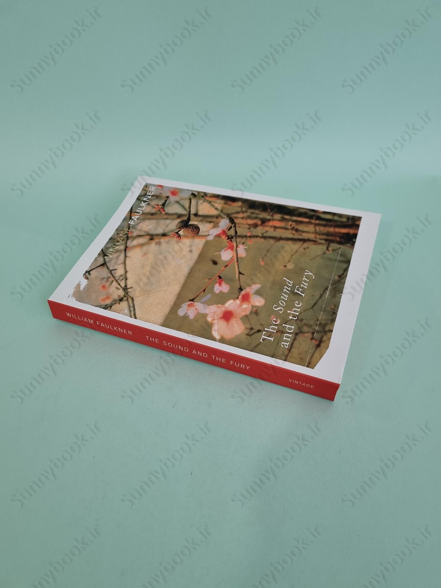 The Sound and the Fury main 1 3