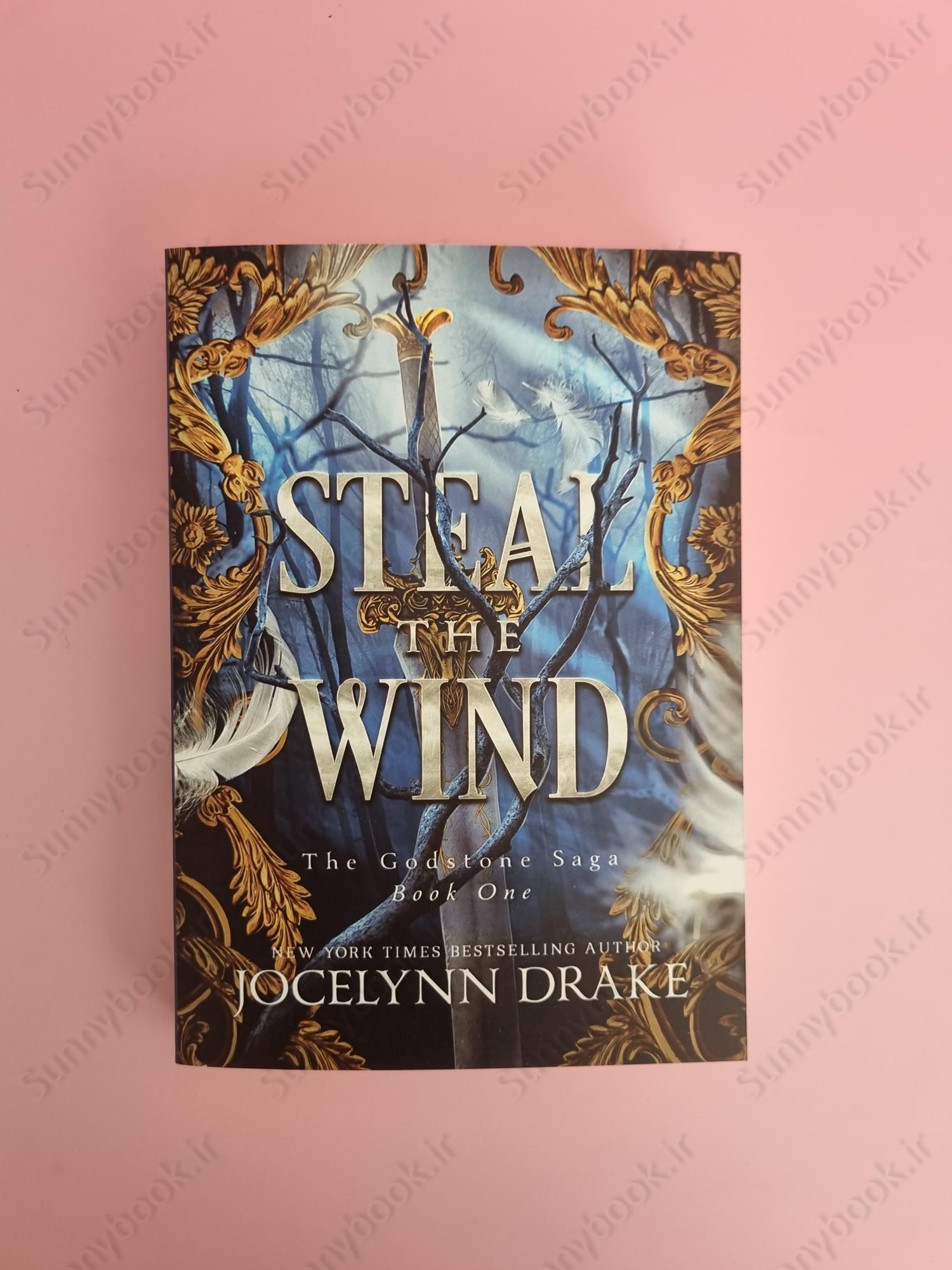 Steal the Wind (Godstone Saga 1) main 1 2