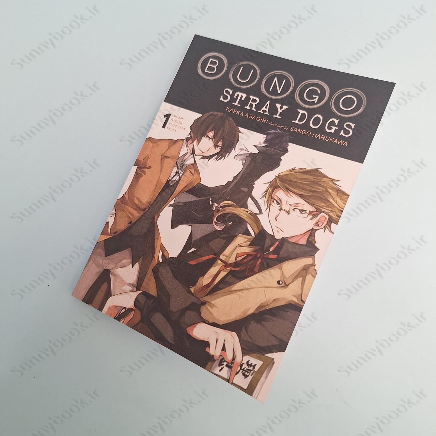 Bungo Stray Dogs Vol. 1 main 1 6