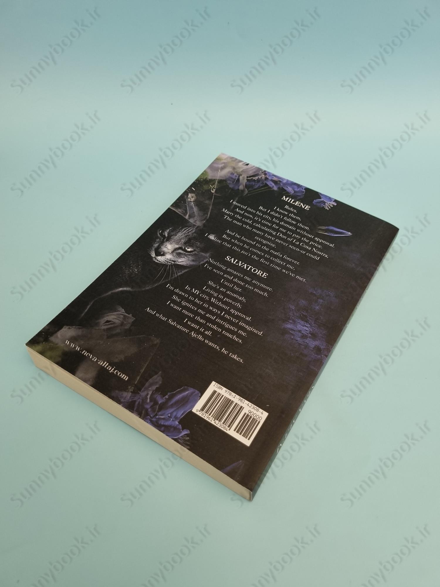 Stolen Touches (Perfectly Imperfect 5) main 1 4