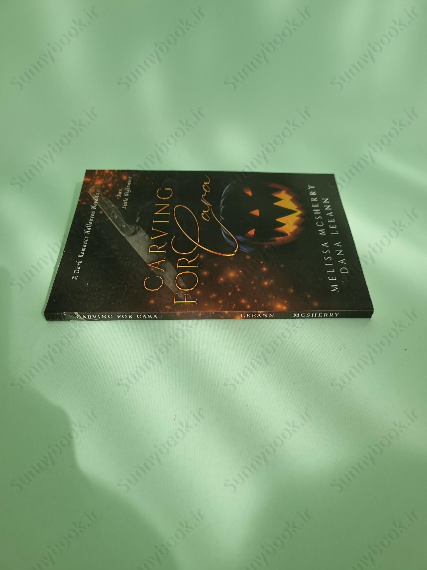 Carving for Cara (Wrecked Book 1) main 1 4