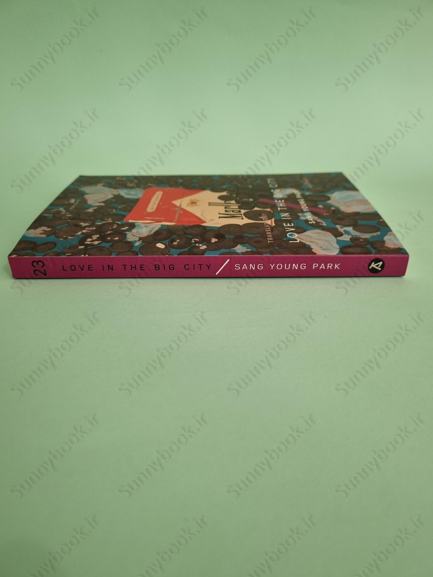 Love in the Big City main 1 5