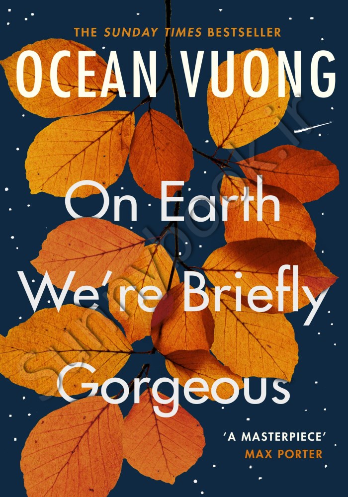 On Earth We're Briefly Gorgeous Model.Title
