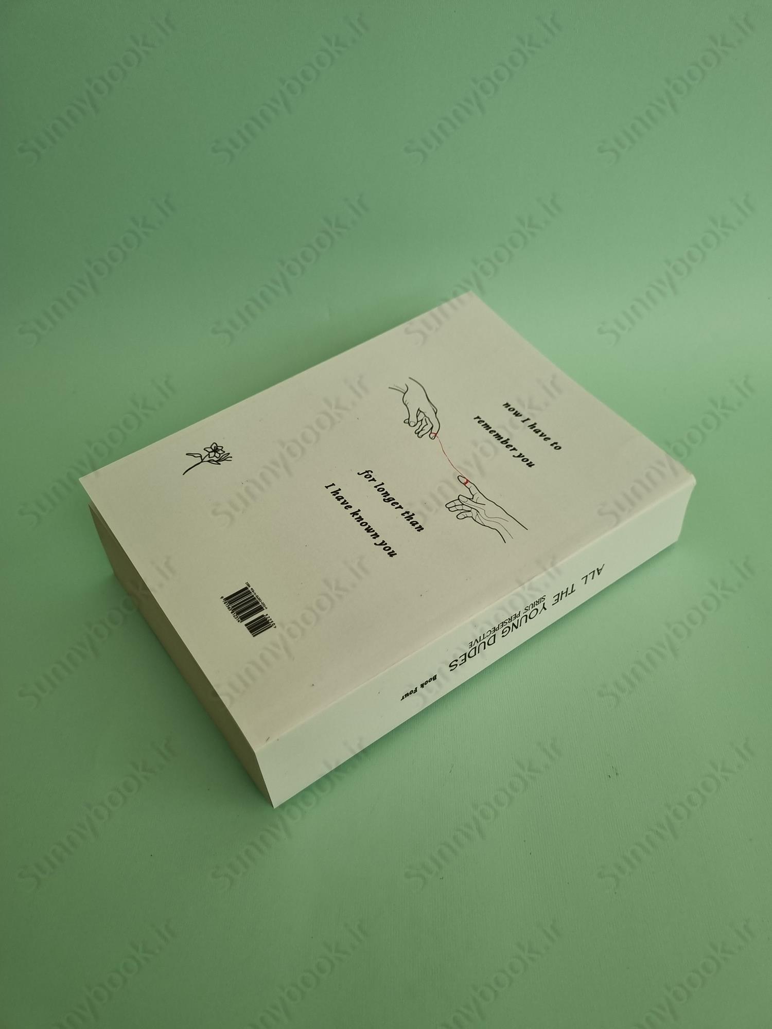 All the Young Dudes: Sirius's Perspective - Volume Four: 'Til The End main 1 5