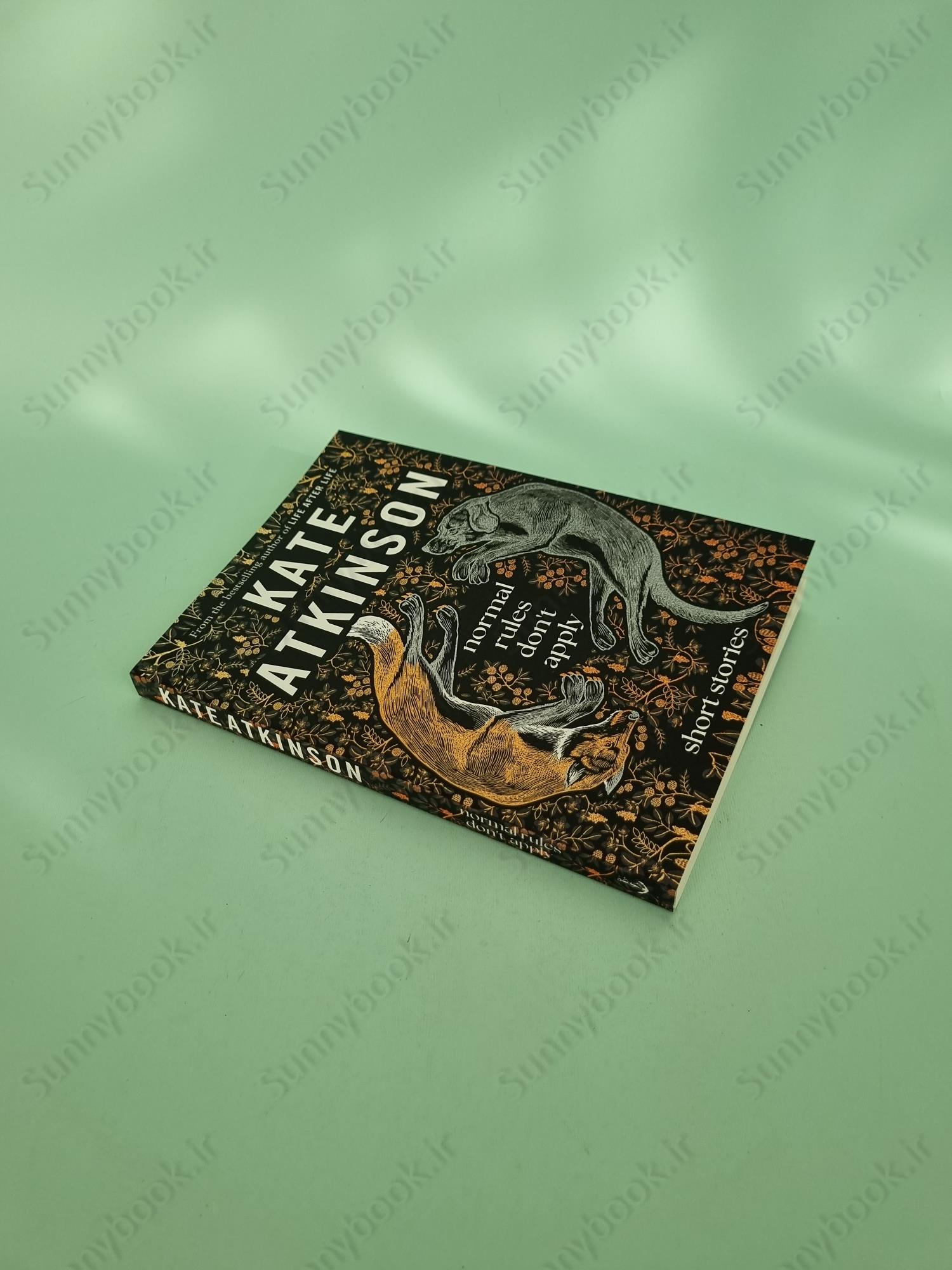 Normal Rules Don't Apply main 1 3