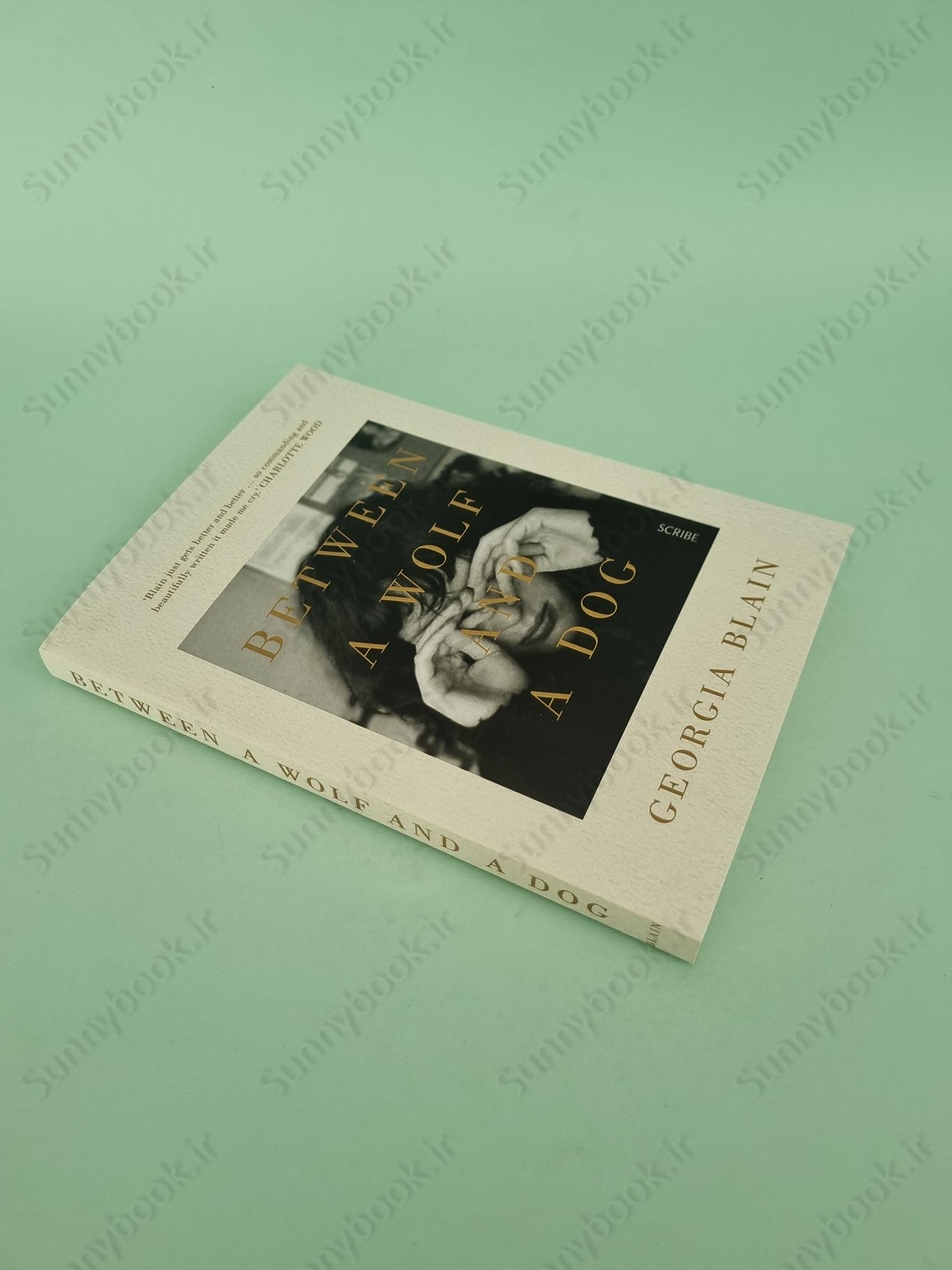 Between a Wolf and a Dog main 1 3