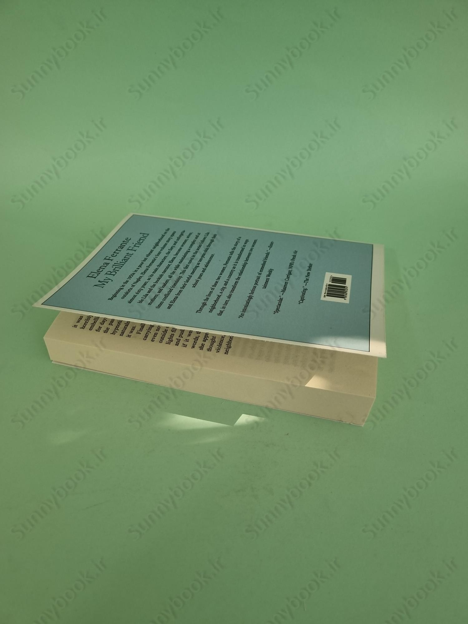 My Brilliant Friend (Neapolitan Novels, 1) main 1 6