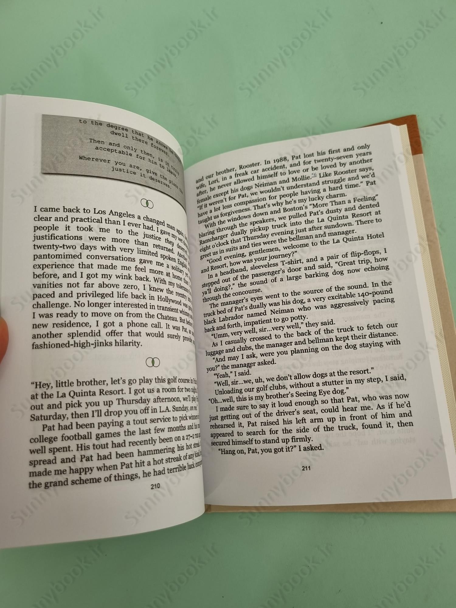 Green Lights main 1 6