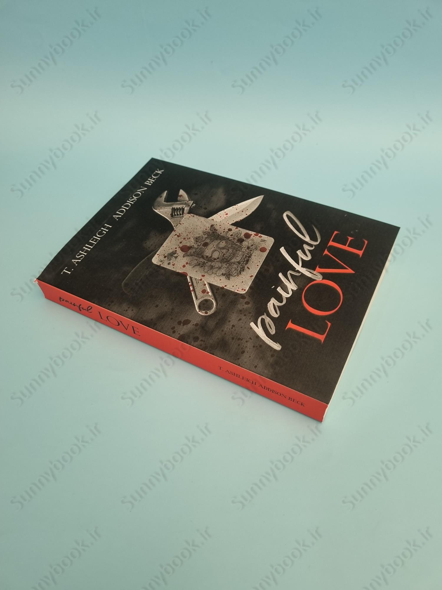 Painful Love (Kings of Aces 2) main 1 3