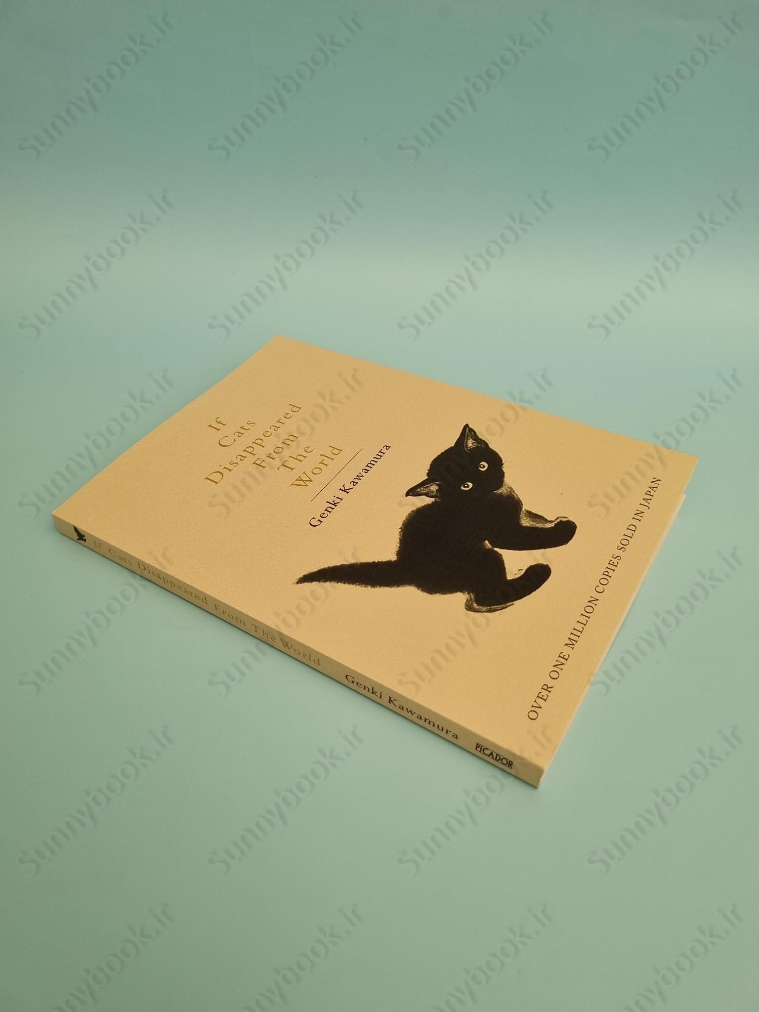 If Cats Disappeared from the World main 1 3