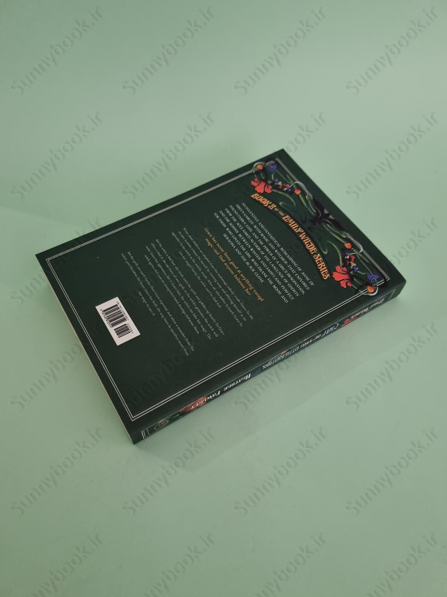 Emily Wilde's Map of the Otherlands (Emily Wilde, 2) main 1 5