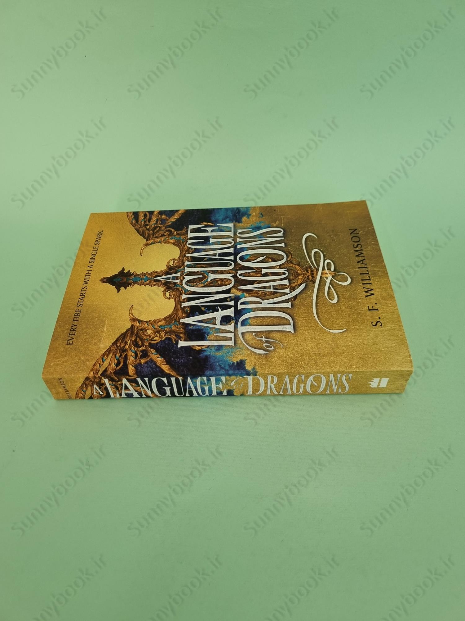 A Language of Dragons main 1 4