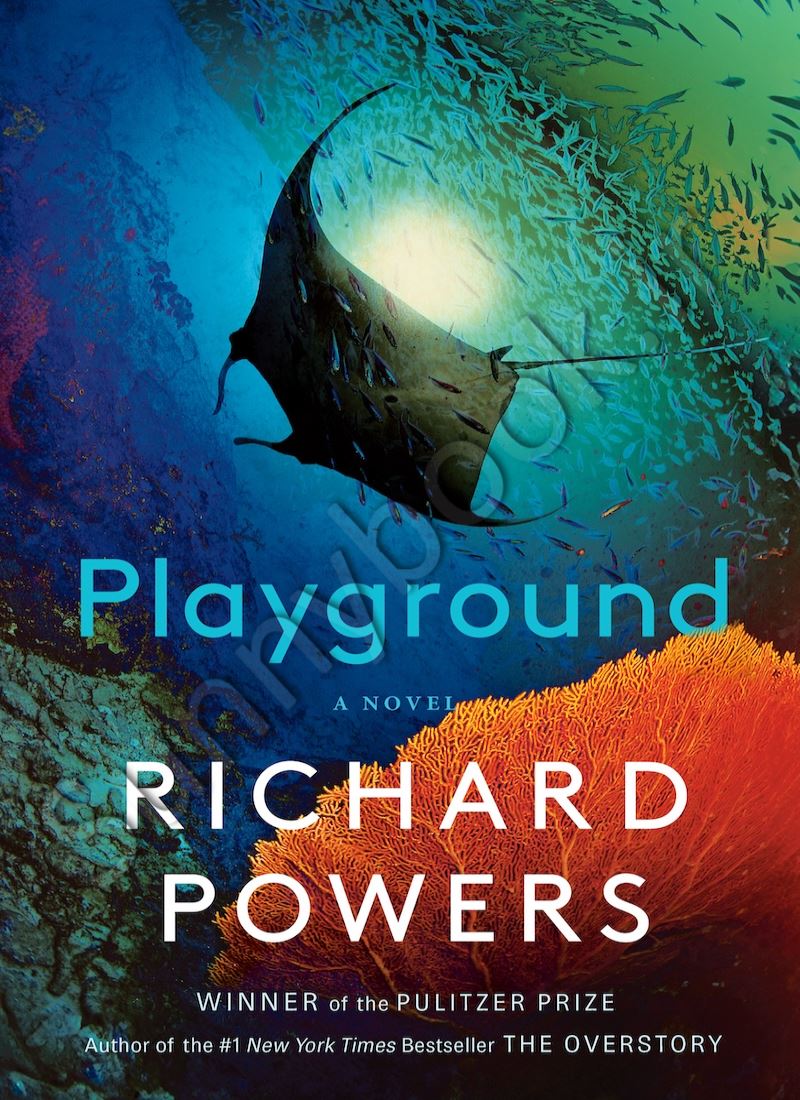Playground Model.Title