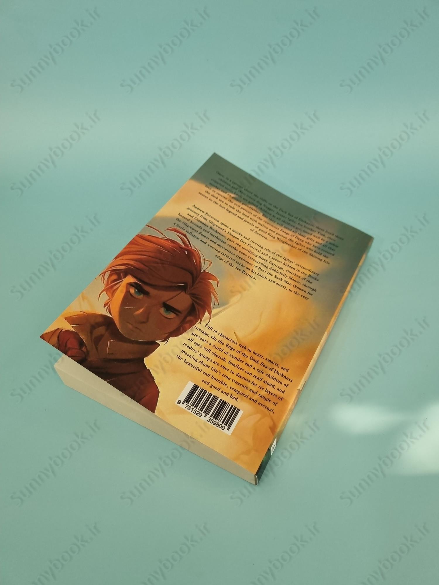 On the Edge of the Dark Sea of Darkness: (Wingfeather Series 1) main 1 4