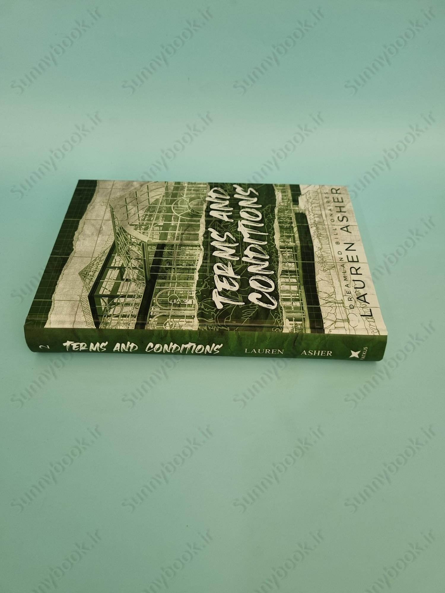 Terms and Conditions (Dreamland Billionaires 2) main 1 4