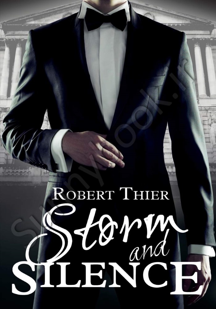 Storm and Silence (Storm and Silence Saga 1) Model.Title