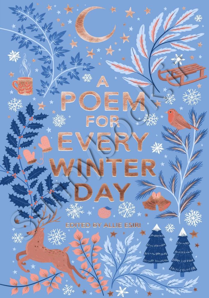 A Poem for Every Winter Day Model.Title
