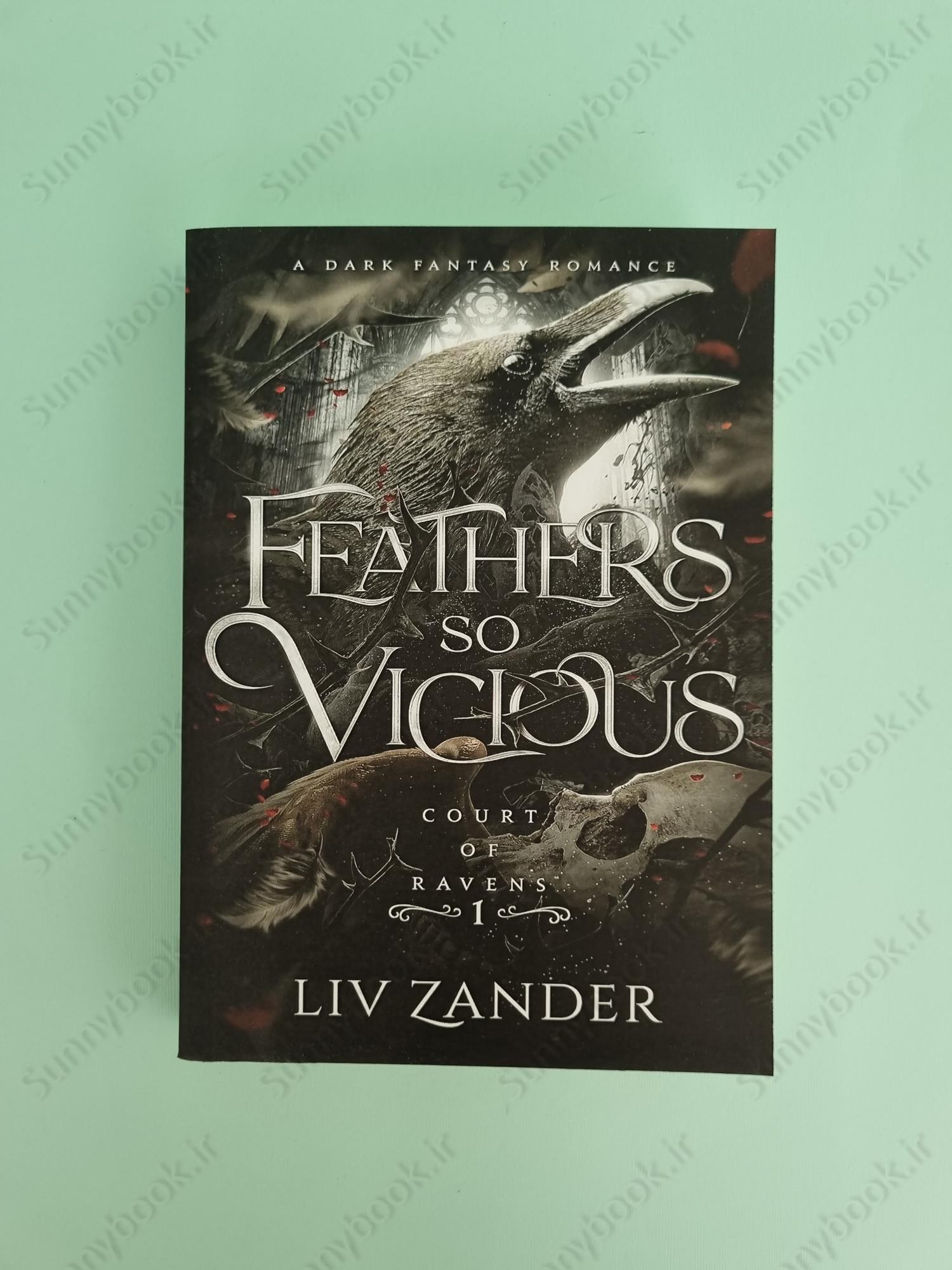 Feathers So Vicious (Court of Ravens 1) main 1 2