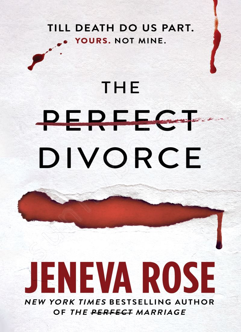 The Perfect Divorce (Perfect 2) main 1 1
