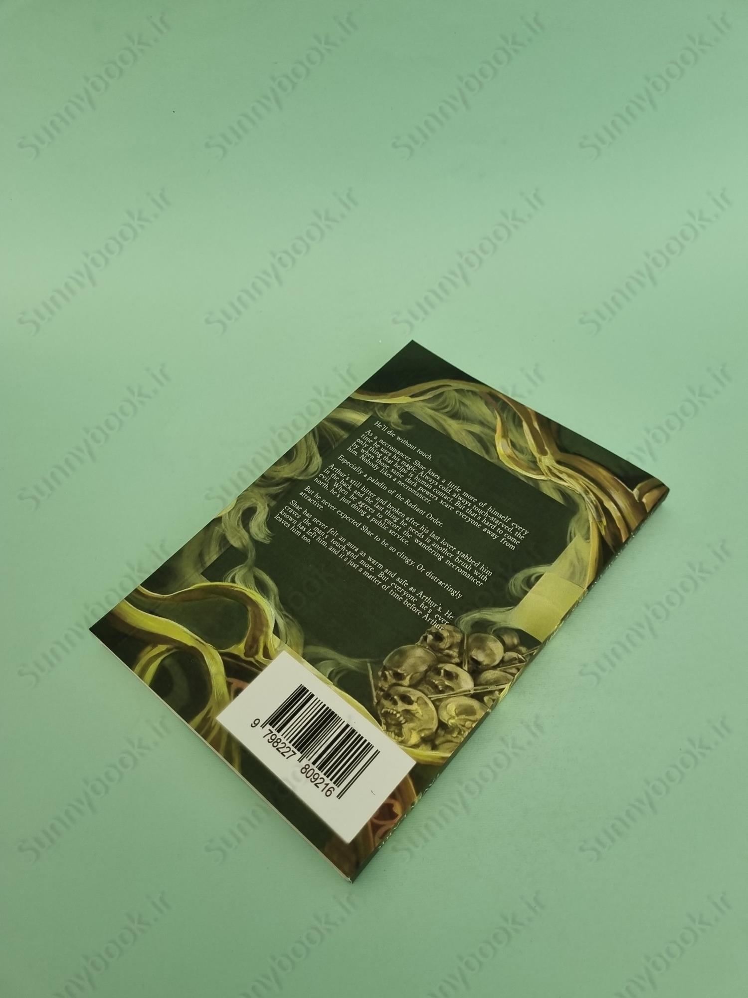 The Necromancer's Light (Radiance 1) main 1 4