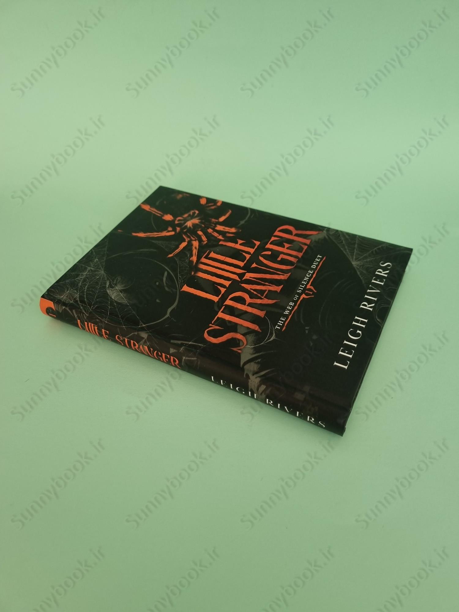 Little Stranger (The Web of Silence Duet 1) main 1 3