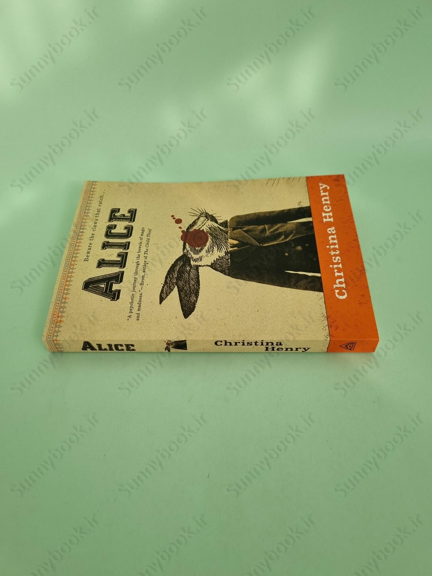 Alice (The Chronicles of Alice 1) main 1 4