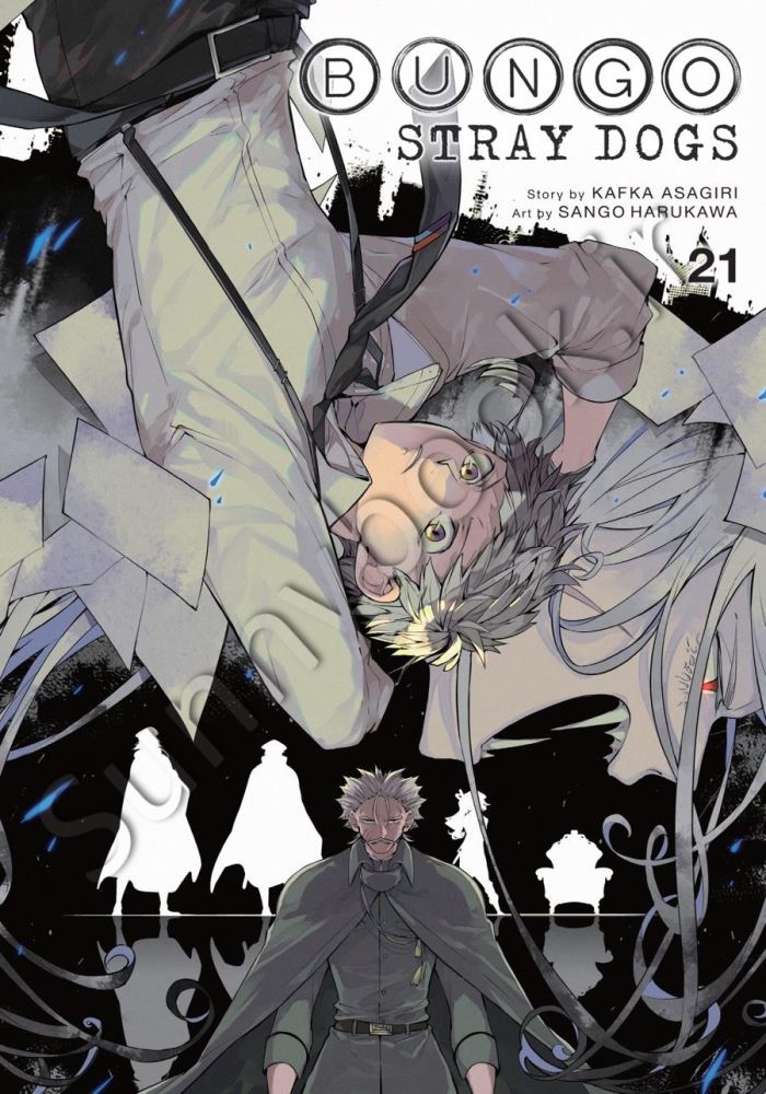 Bungo Stray Dogs 21 Model.Title