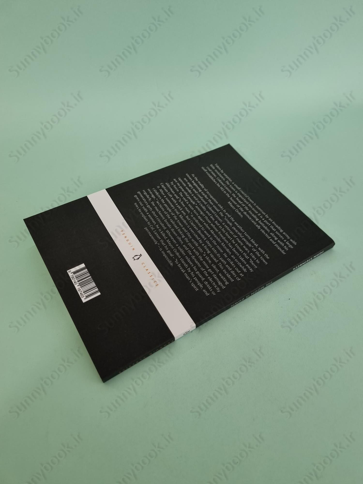 The Moon Is Down main 1 5