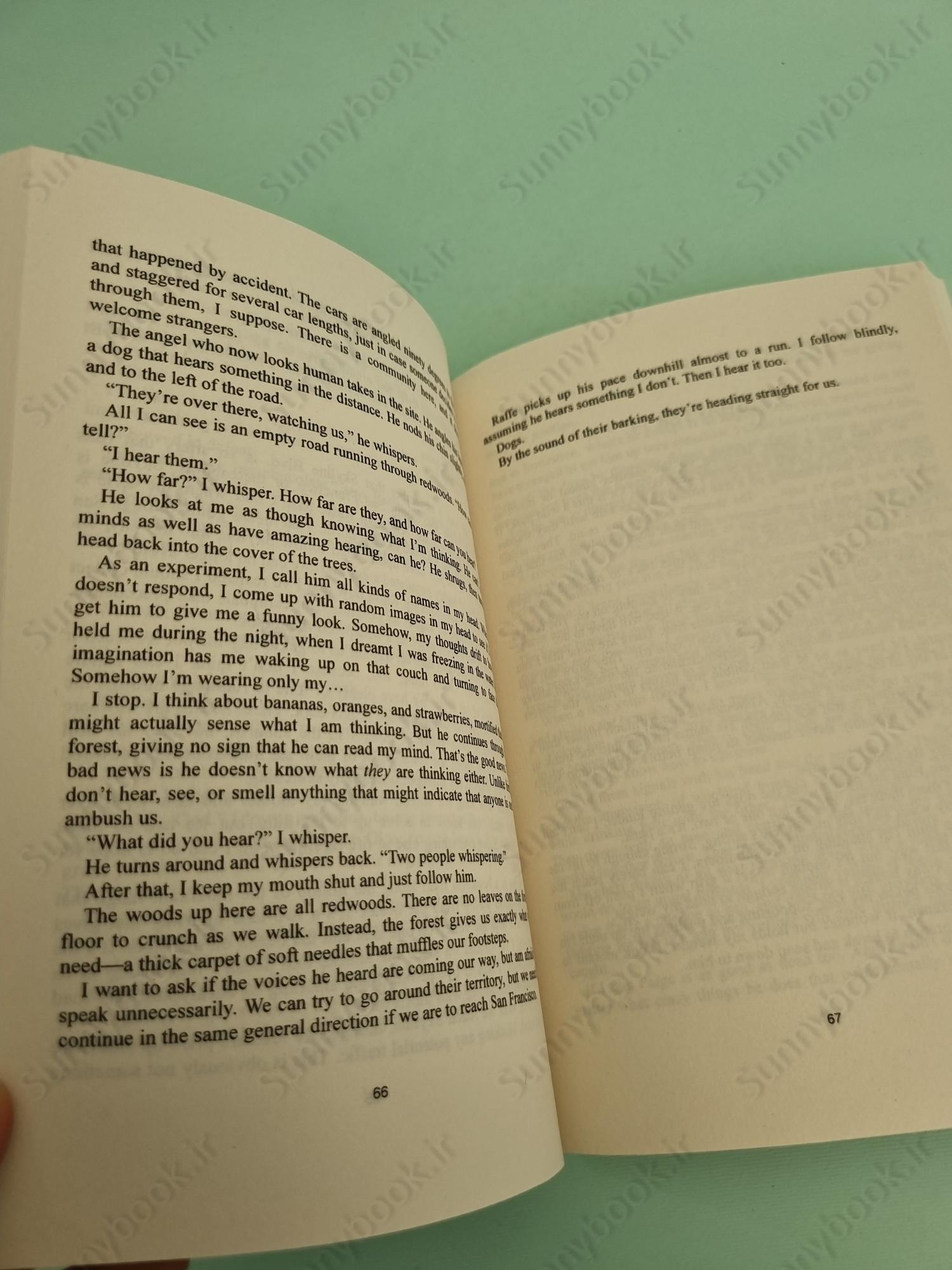 Angelfall (Penryn & the End of Days 1) main 1 5