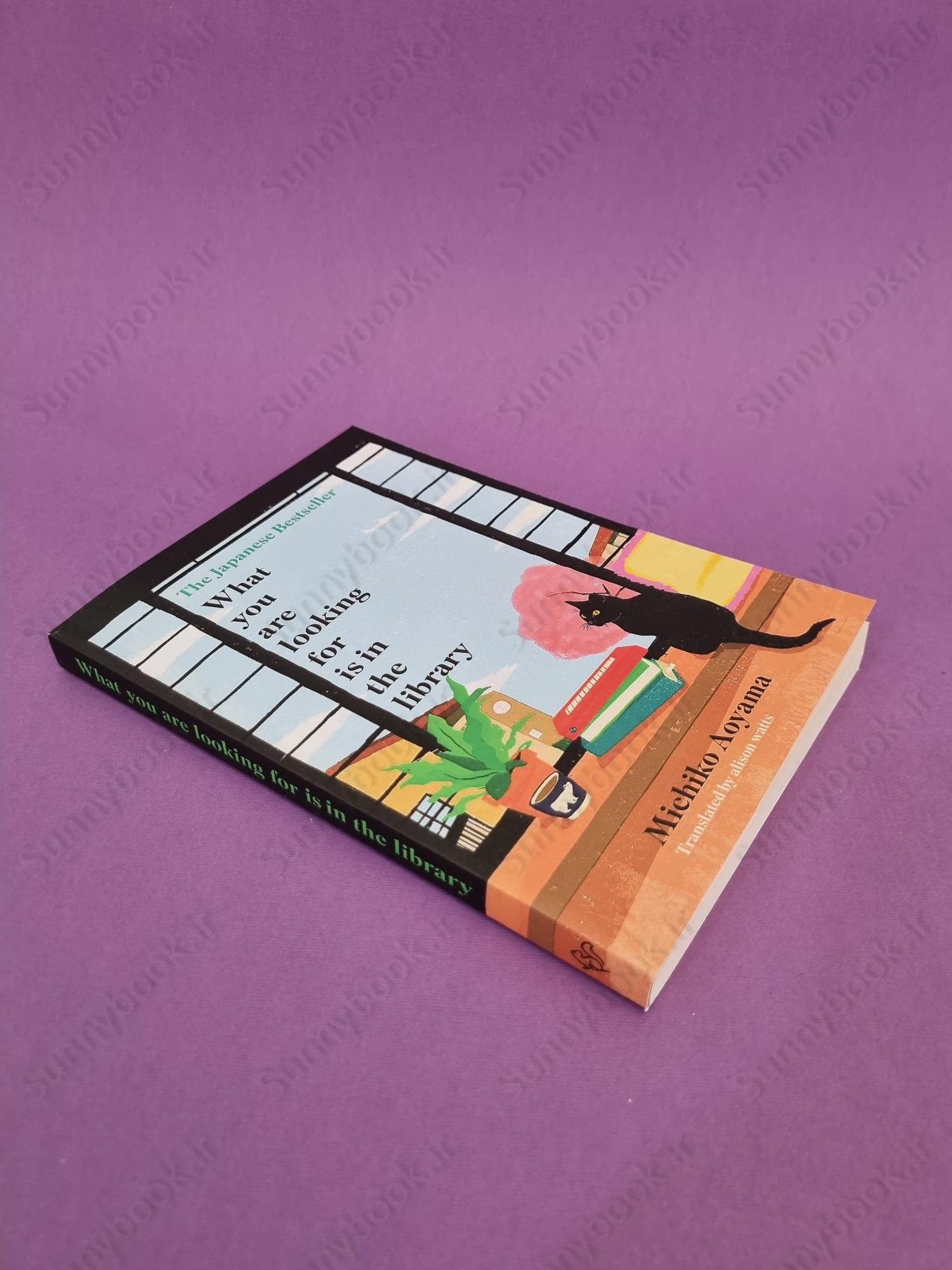 What You Are Looking For Is in the Library main 1 3