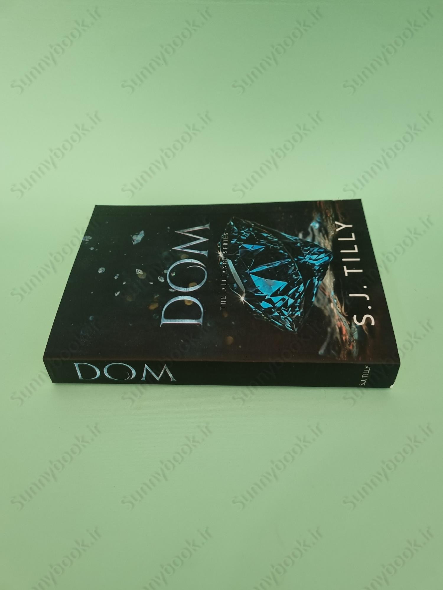 DOM: Alliance Series Book Three main 1 4