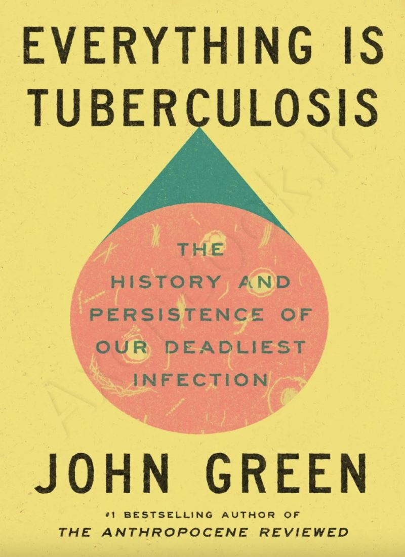 Everything Is Tuberculosis Model.Title