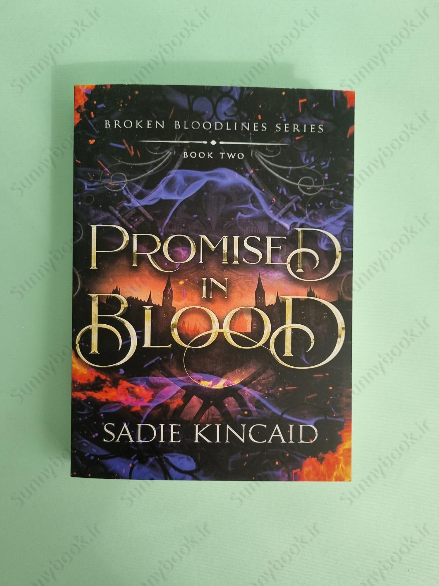Promised in Blood (Broken Bloodlines Book 2) main 1 2