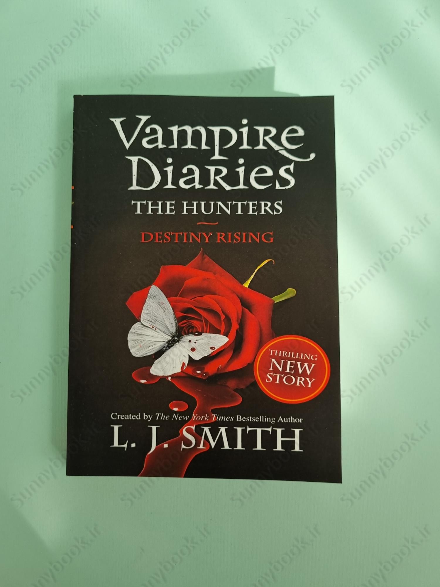 The Vampire Diaries: The Hunters: Destiny Rising: Book 10 main 1 2