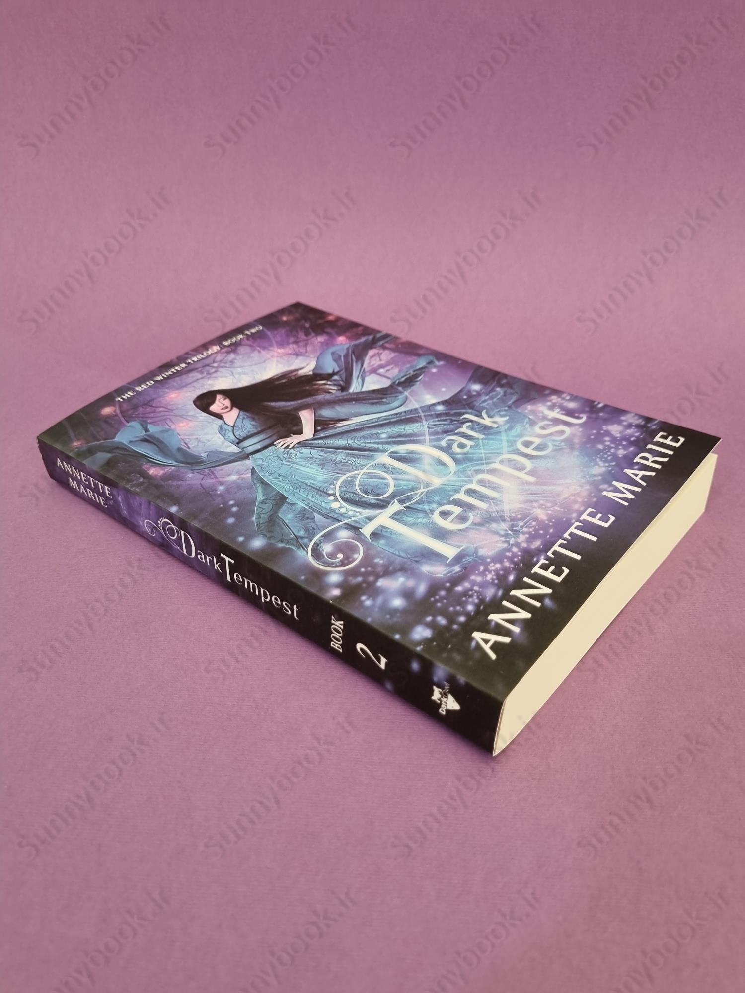 Dark Tempest (Red Winter Trilogy 2) main 1 3