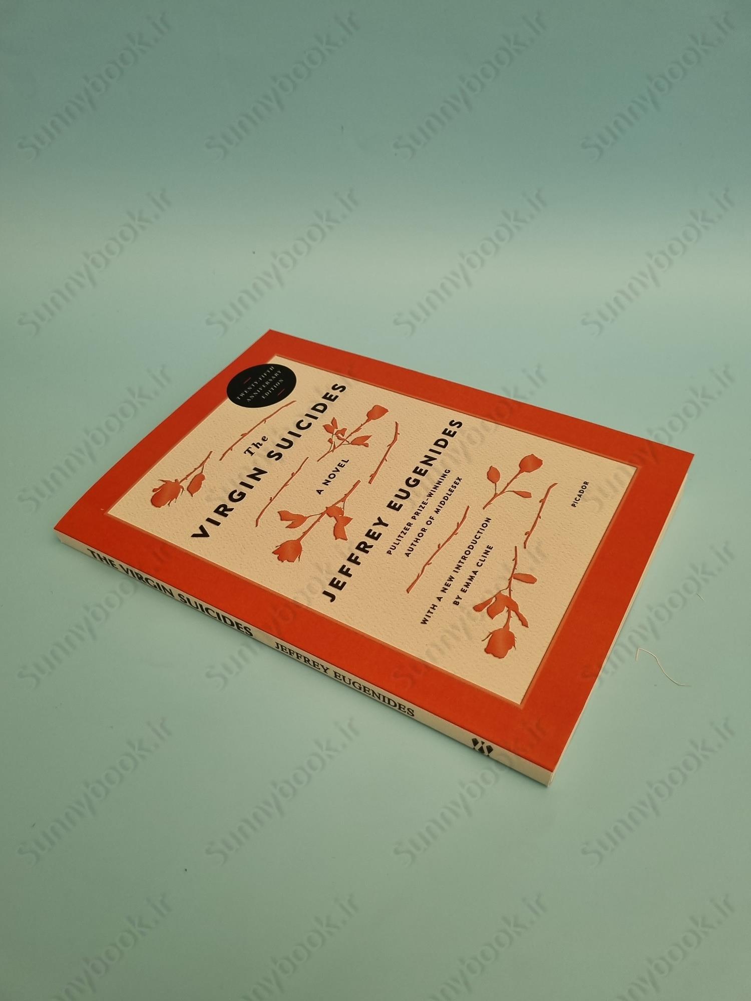 The Virgin Suicides main 1 3