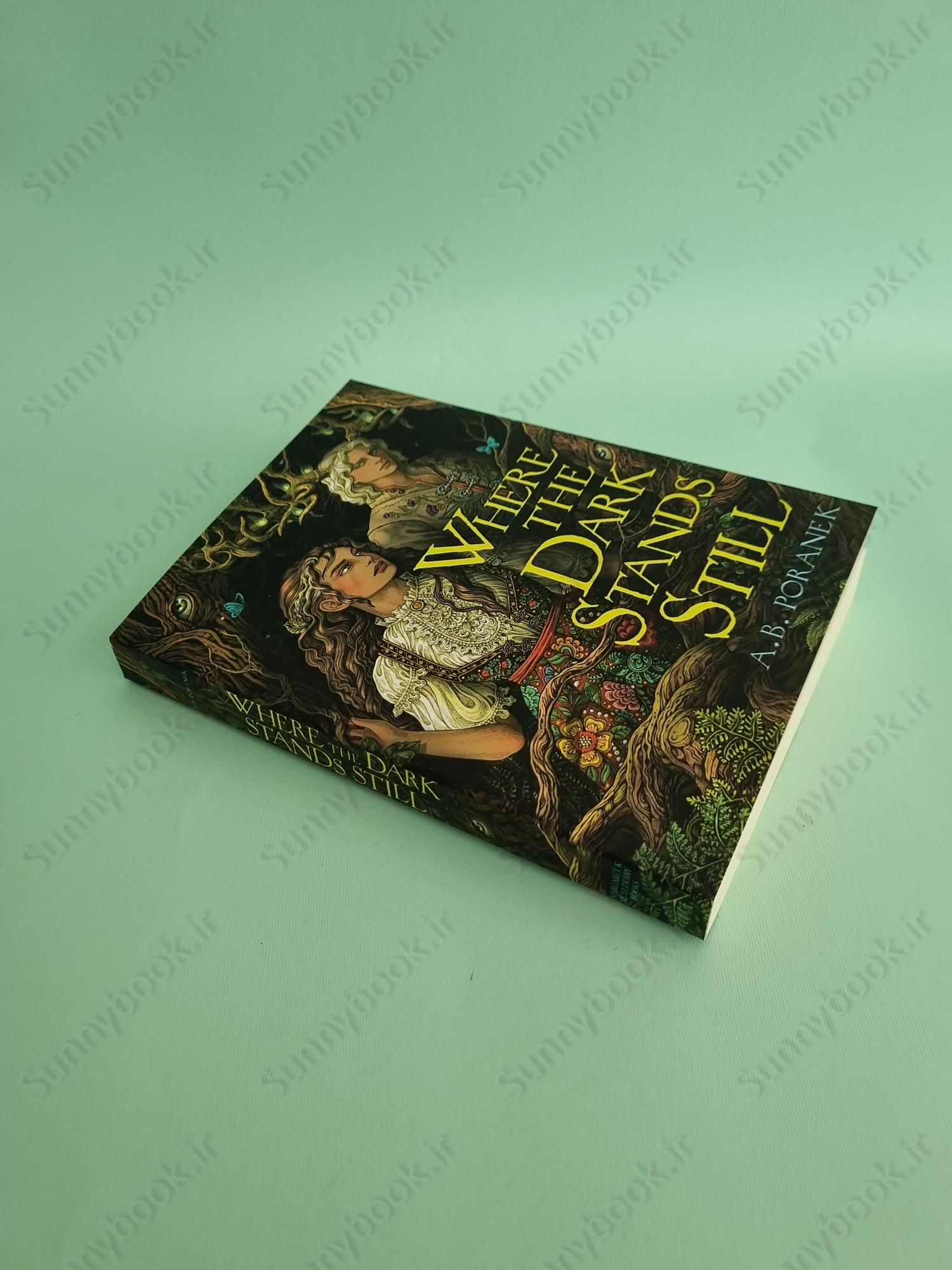 Where the Dark Stands Still main 1 2