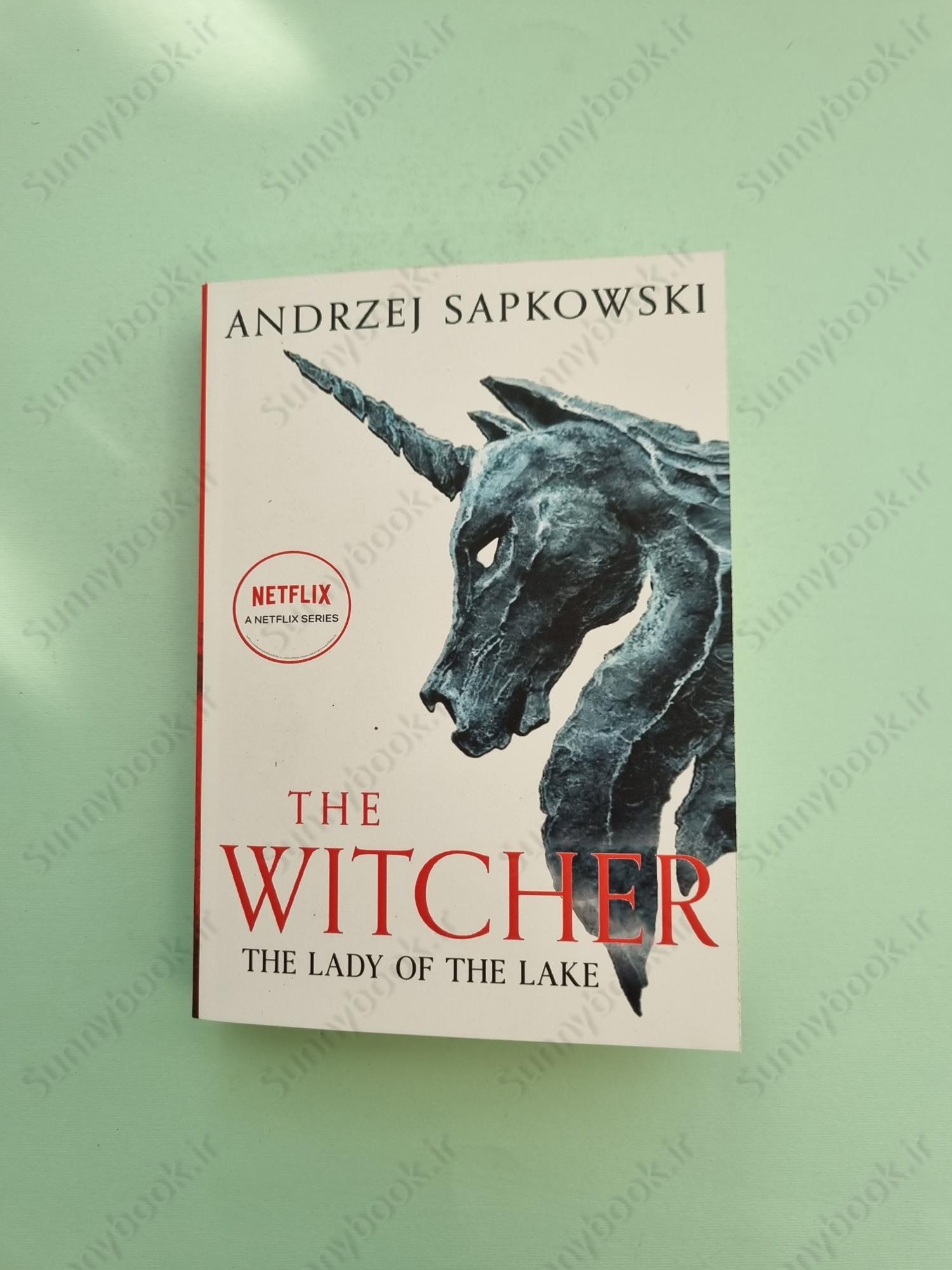 The Lady of the Lake (The Witcher, 7) main 1 4