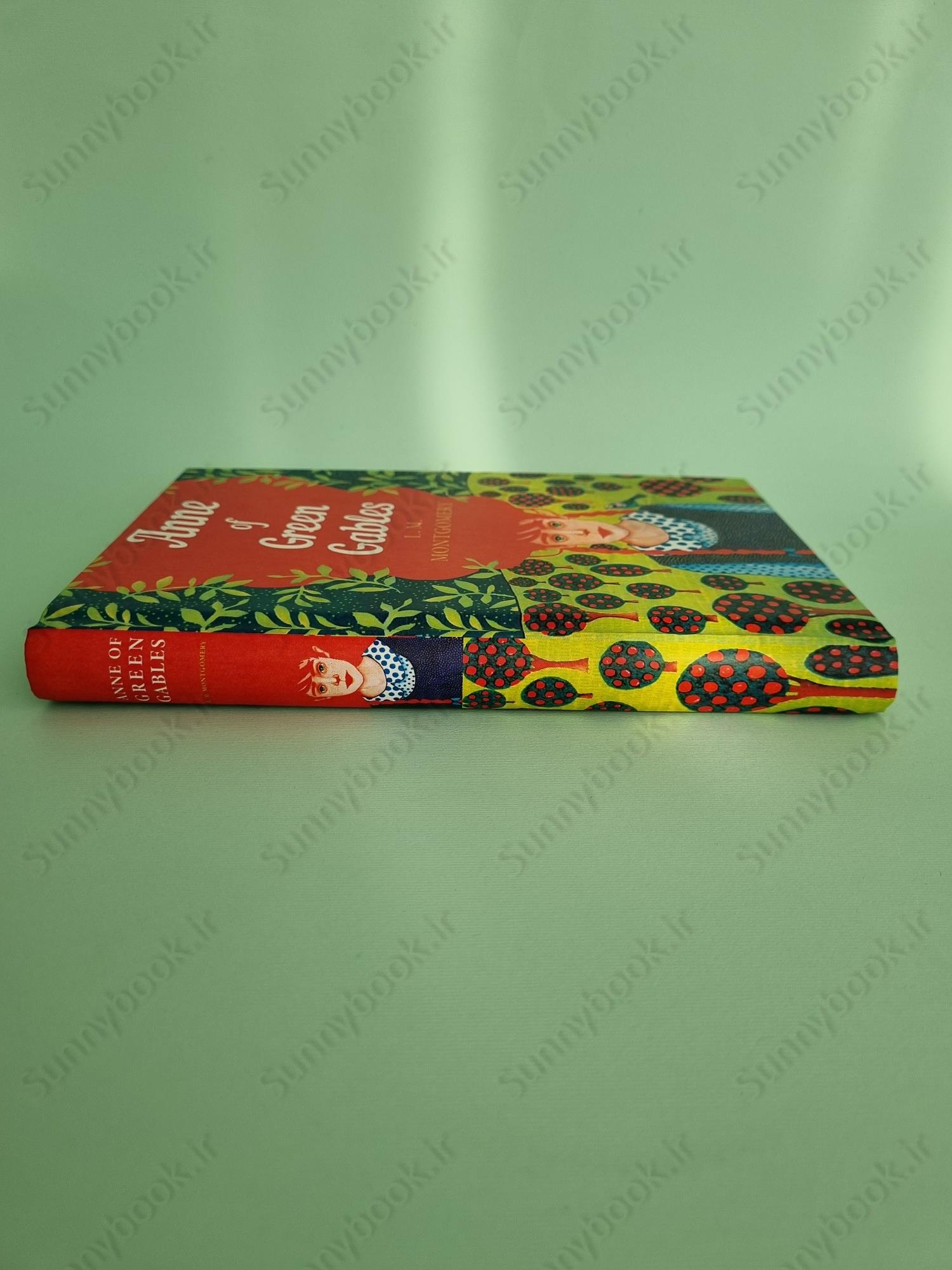 Anne of Green Gables (The Sisterhood) main 1 4