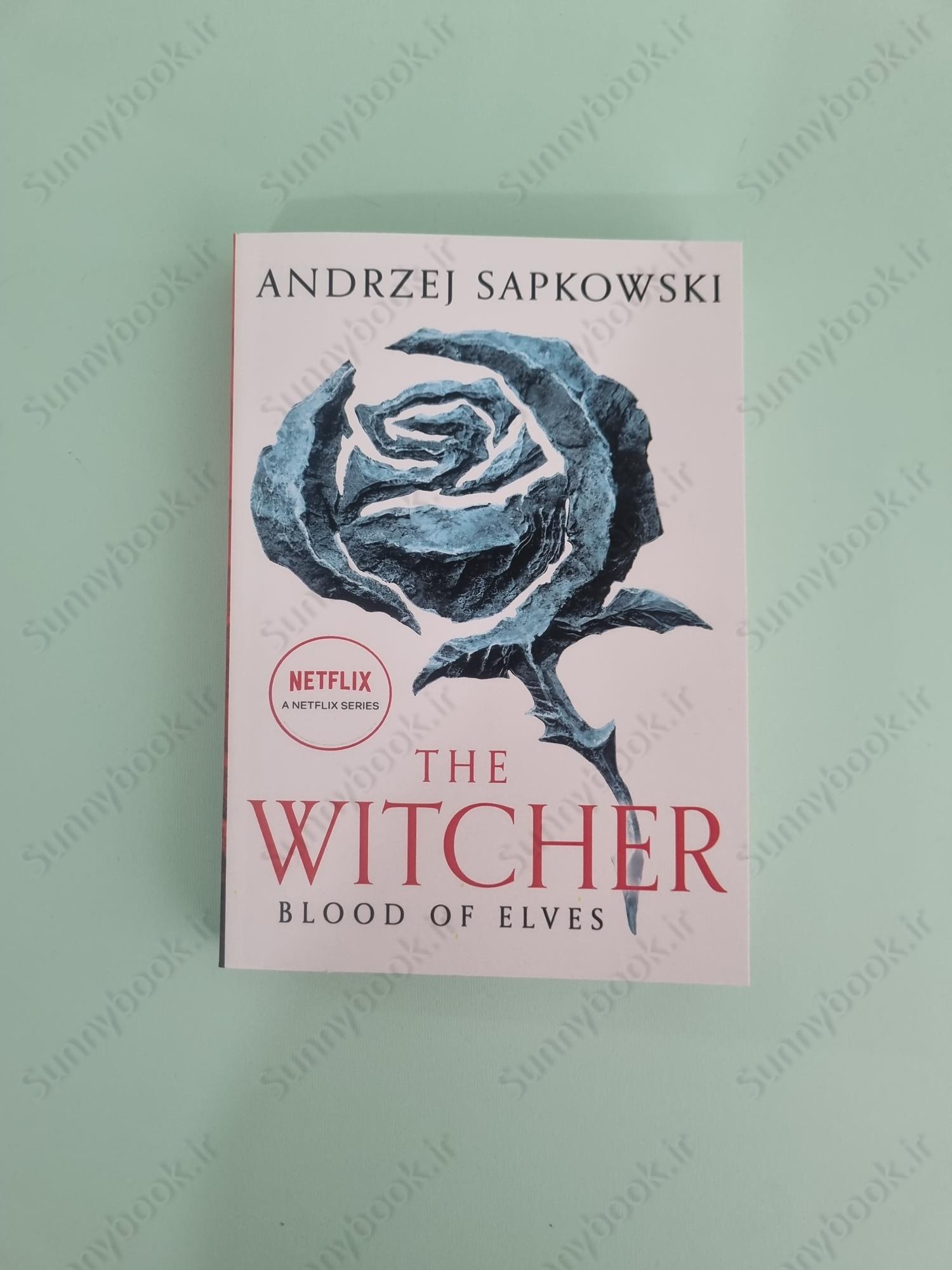 Blood of Elves (The Witcher, 3) main 1 2