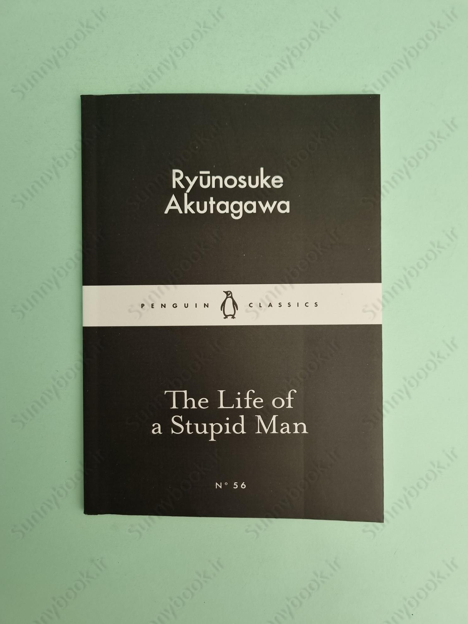 The Life of a Stupid Man main 1 2