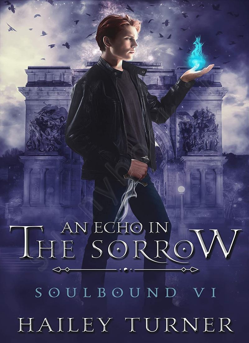 An Echo in the Sorrow (Soulbound 6) Model.Title