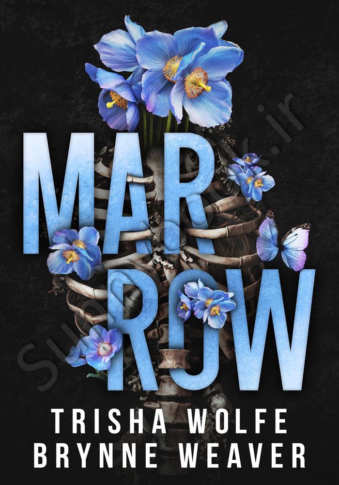 Marrow Model.Title