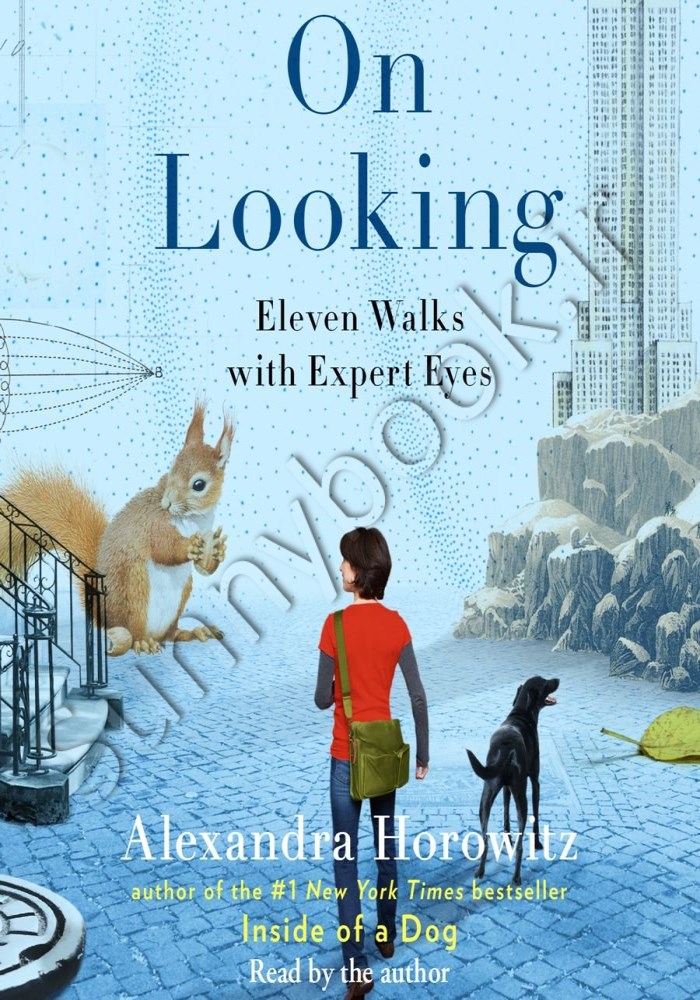 On Looking: Eleven Walks with Expert Eyes Model.Title