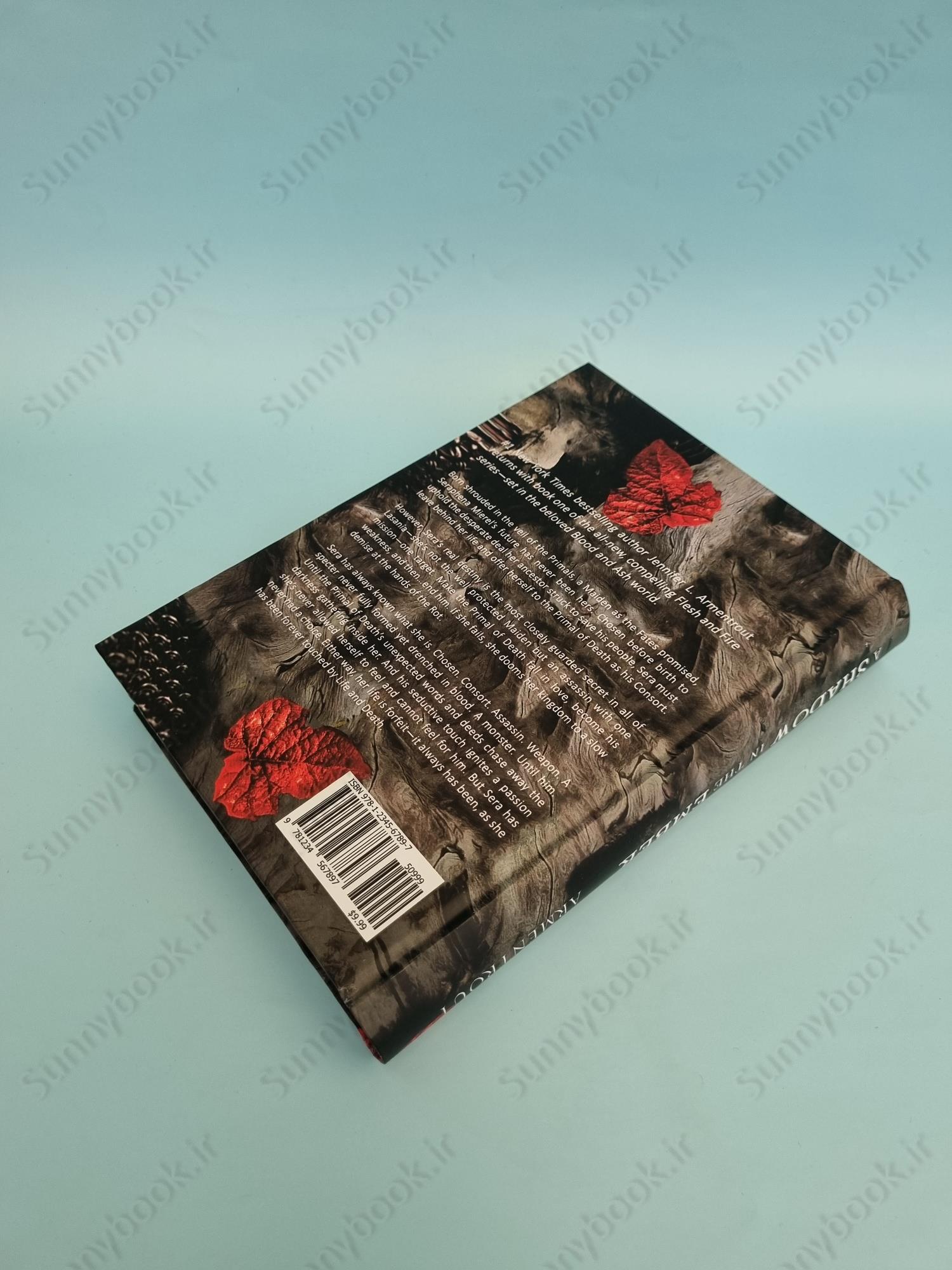 A Shadow in the Ember (Flesh and Fire 1) main 1 5