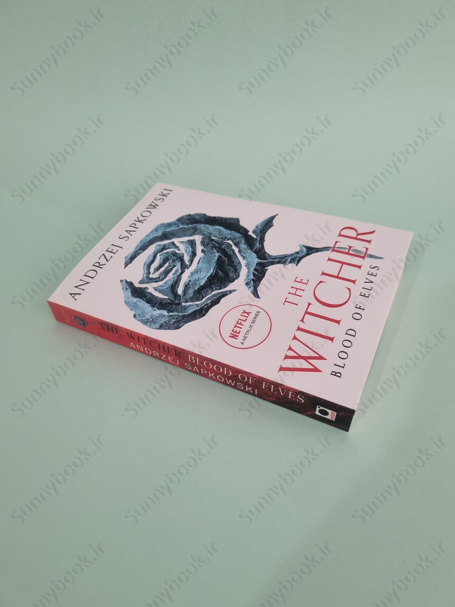 Blood of Elves (The Witcher, 3) main 1 3