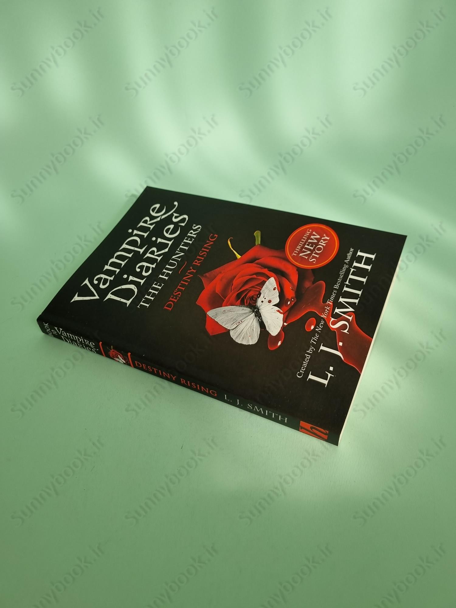 The Vampire Diaries: The Hunters: Destiny Rising: Book 10 main 1 3