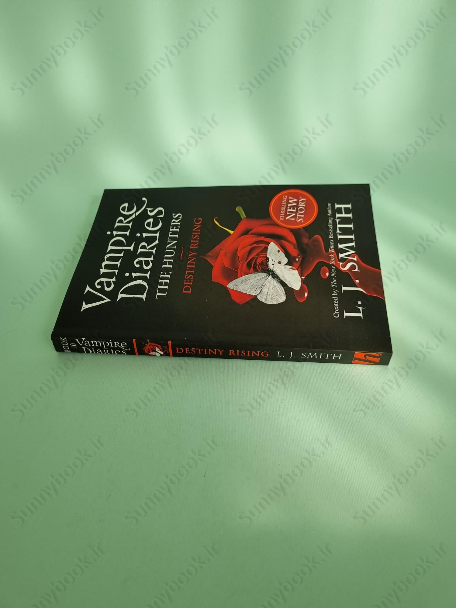 The Vampire Diaries: The Hunters: Destiny Rising: Book 10 main 1 4